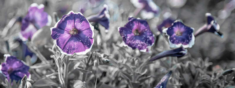 无限轰炸手机号码软件